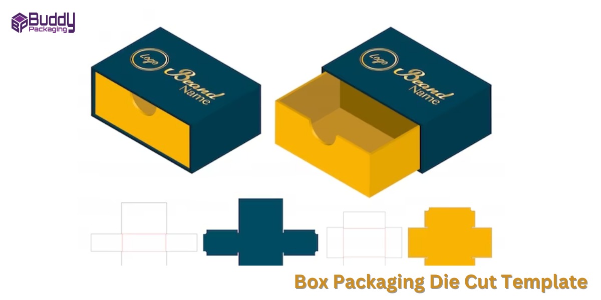 Box Packaging Die Cut Template