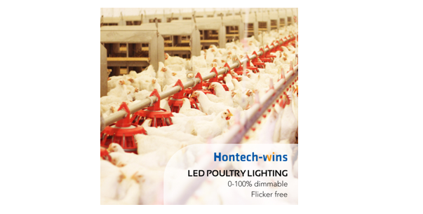 From Energy Savings to Animal Welfare: The Many Reasons a LED Light Supplier is Essential in Today's Poultry Industry